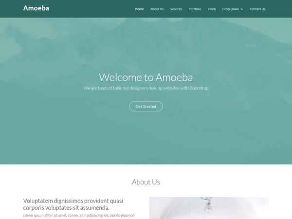 Amoeba