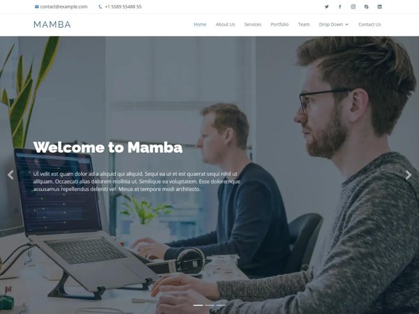 Mamba
