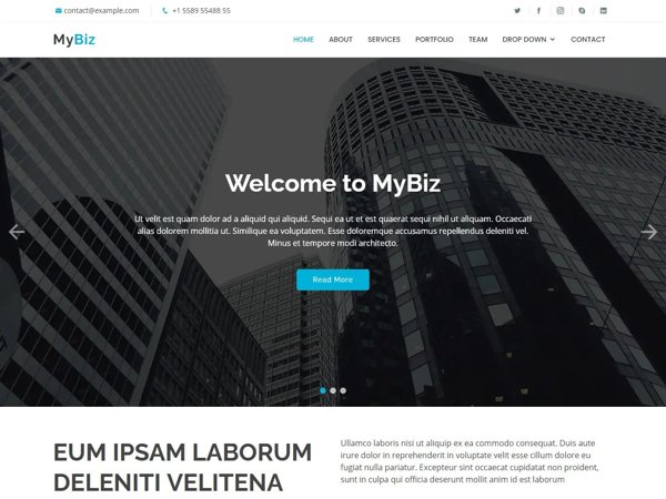 MyBiz