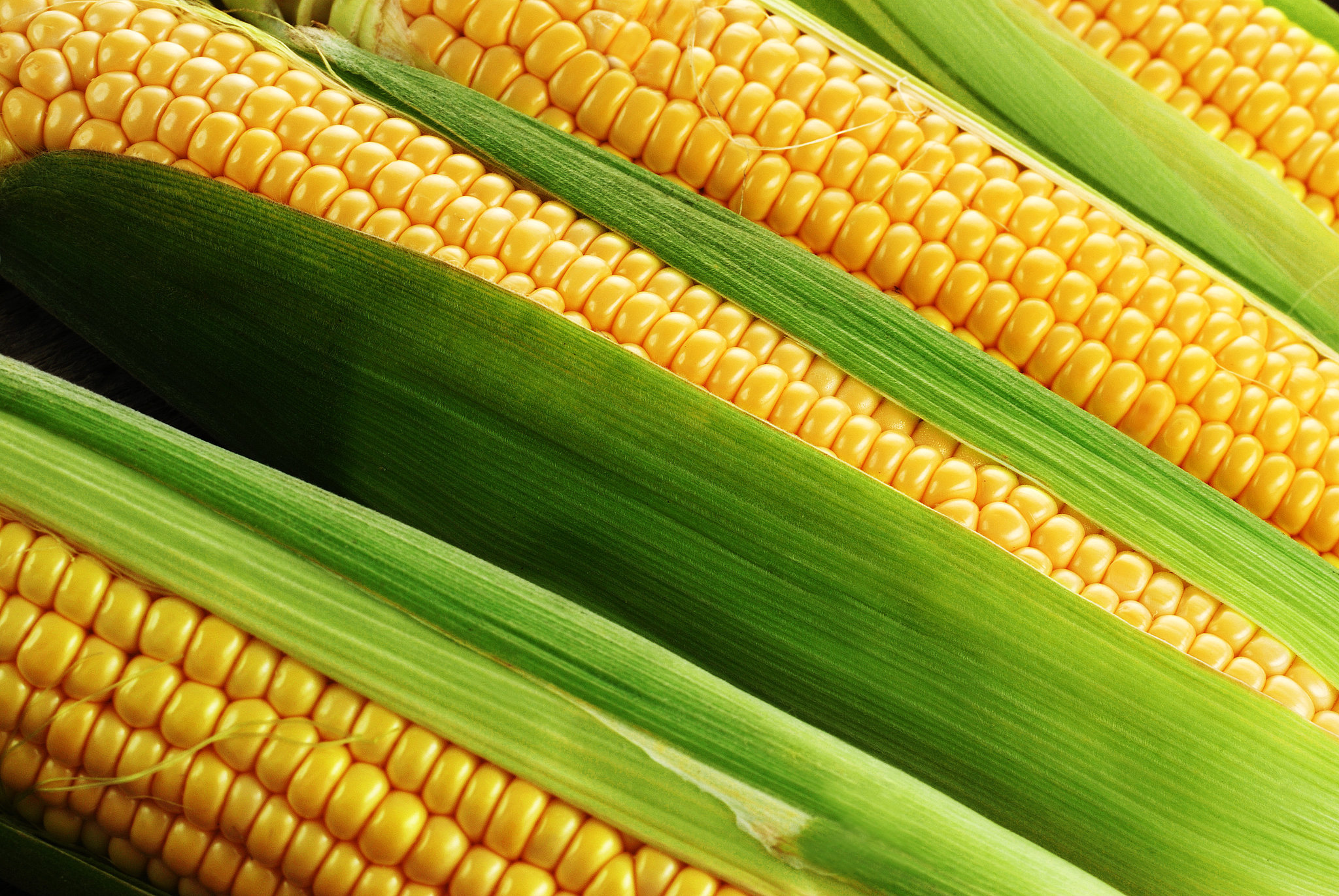 Corn