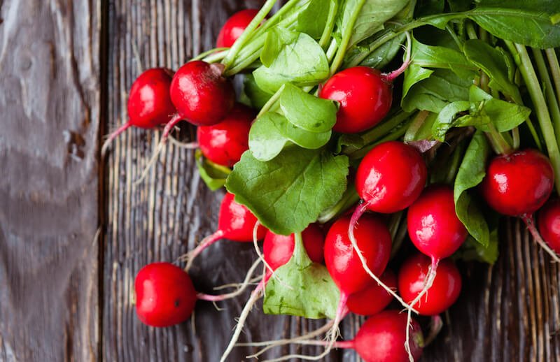 Radish
