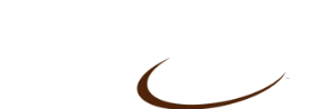 ANT Spa Logo